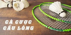 Hướng Dẫn Cách Chơi Cá Cược Cầu Lông BJ88 Dễ Thắng Nhất