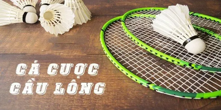 Hướng Dẫn Cách Chơi Cá Cược Cầu Lông BJ88 Dễ Thắng Nhất