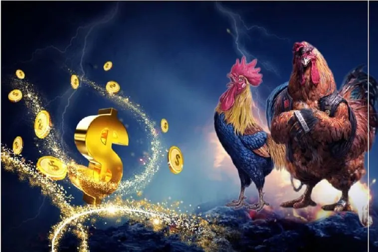 Tham Gia Đá Gà Sabong Tại BJ88 Với Hướng Dẫn Chi Tiết Hấp Dẫn 2 Tham Gia Đá Gà Sabong Tại BJ88 Với Hướng Dẫn Chi Tiết Hấp Dẫn