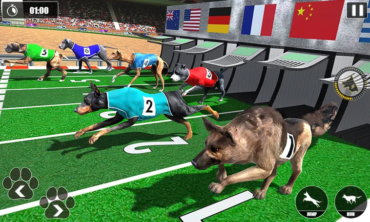 Tham Gia Game Nhanh Đua Chó Tại BJ88 Và Chinh Phục Tiền Thưởng Lớn